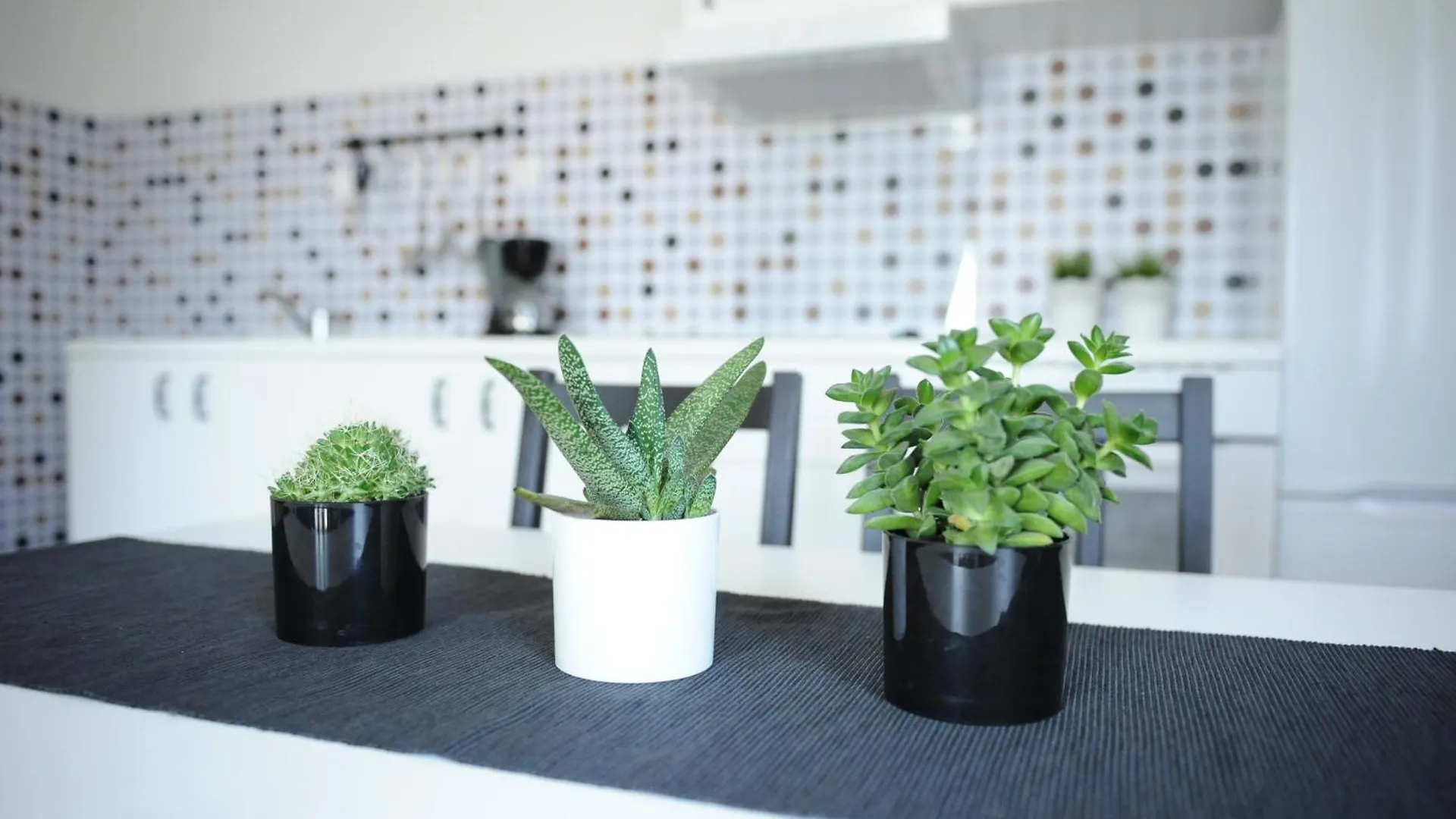 Flare Apartment Задар